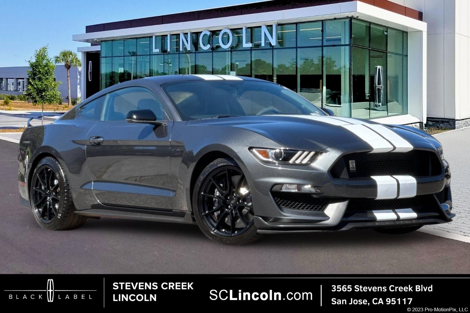 2020 Ford Mustang Shelby GT350 in Magnetic — front three-quarter view